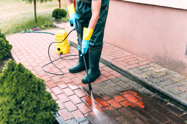 Best Concrete Pressure Washing  in Wayne, MI