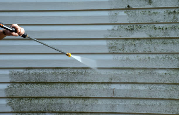 Best Affordable Power Washing  in Wayne, MI