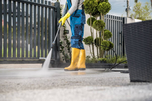 Best Residential Pressure Washing Services  in Wayne, MI