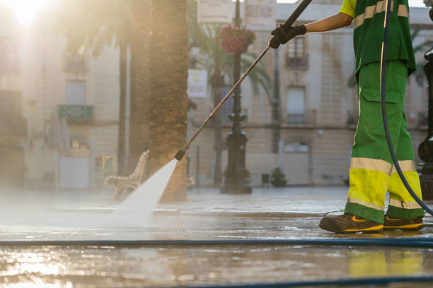 Best Concrete Pressure Washing  in Wayne, MI