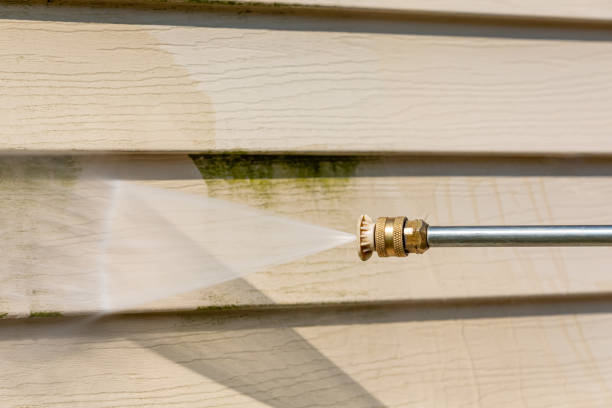 Best Commercial Building Pressure Washing  in Wayne, MI