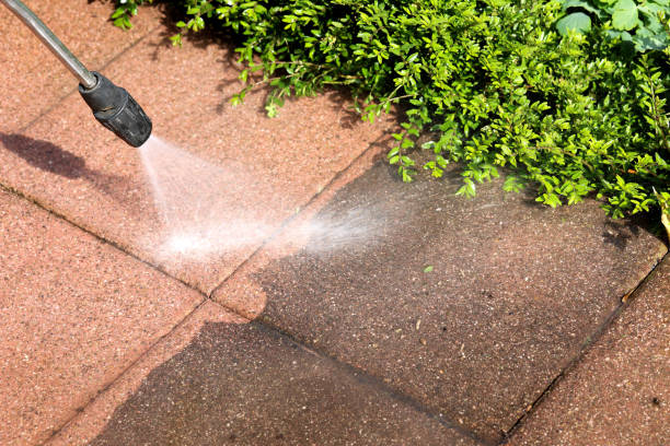 Best Roof Power Washing Services  in Wayne, MI
